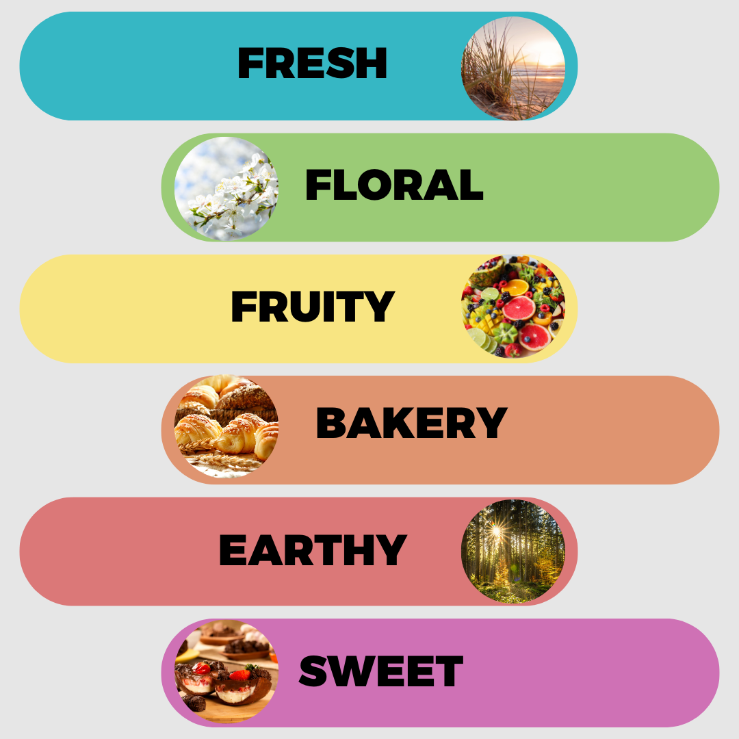 Our 6 scents to choose from