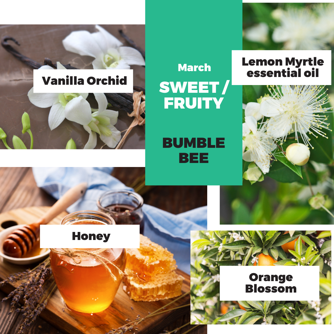 Candle of the Month – Bumble Bee