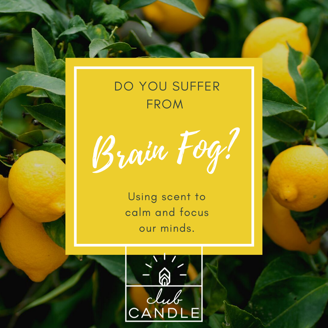Do you suffer from Brain Fog?
