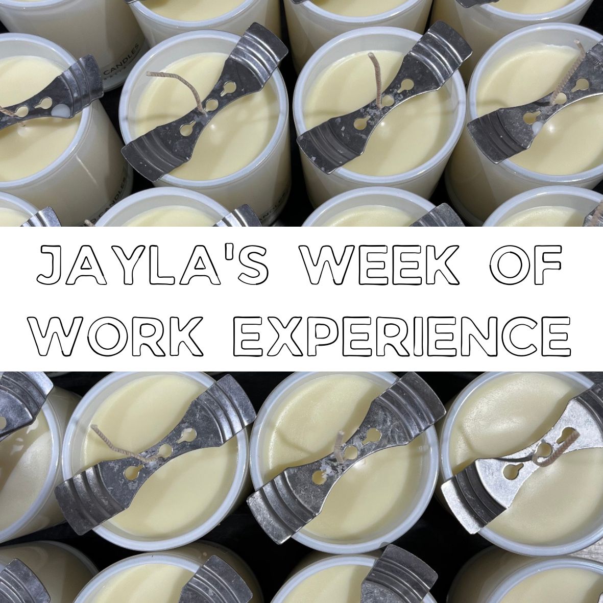 My Week Of Work Experience