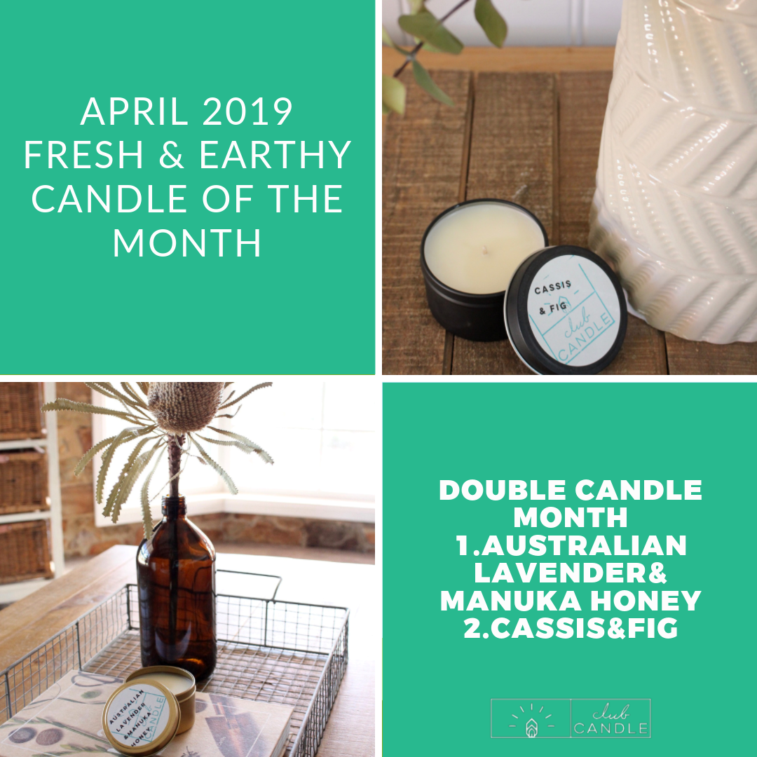 Candle of the Month – Australian Lavender and Manuka Honey Club Candle 