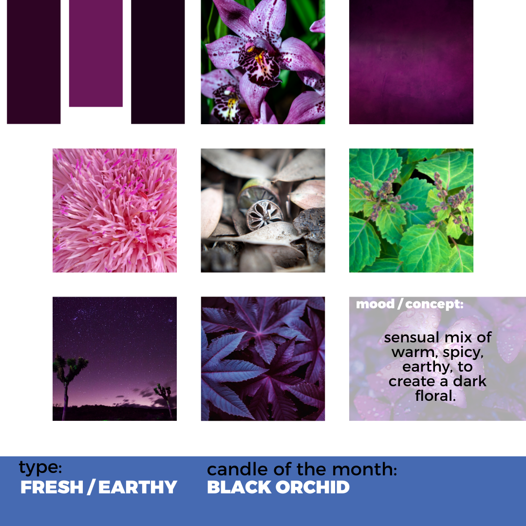 Candle of the Month – Black Orchid