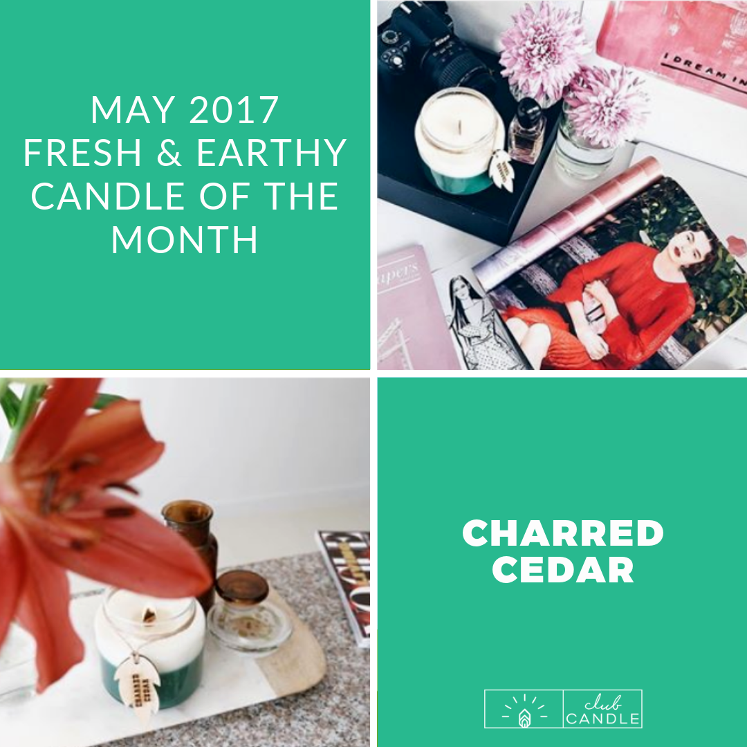 Candle of the Month - Charred Cedar