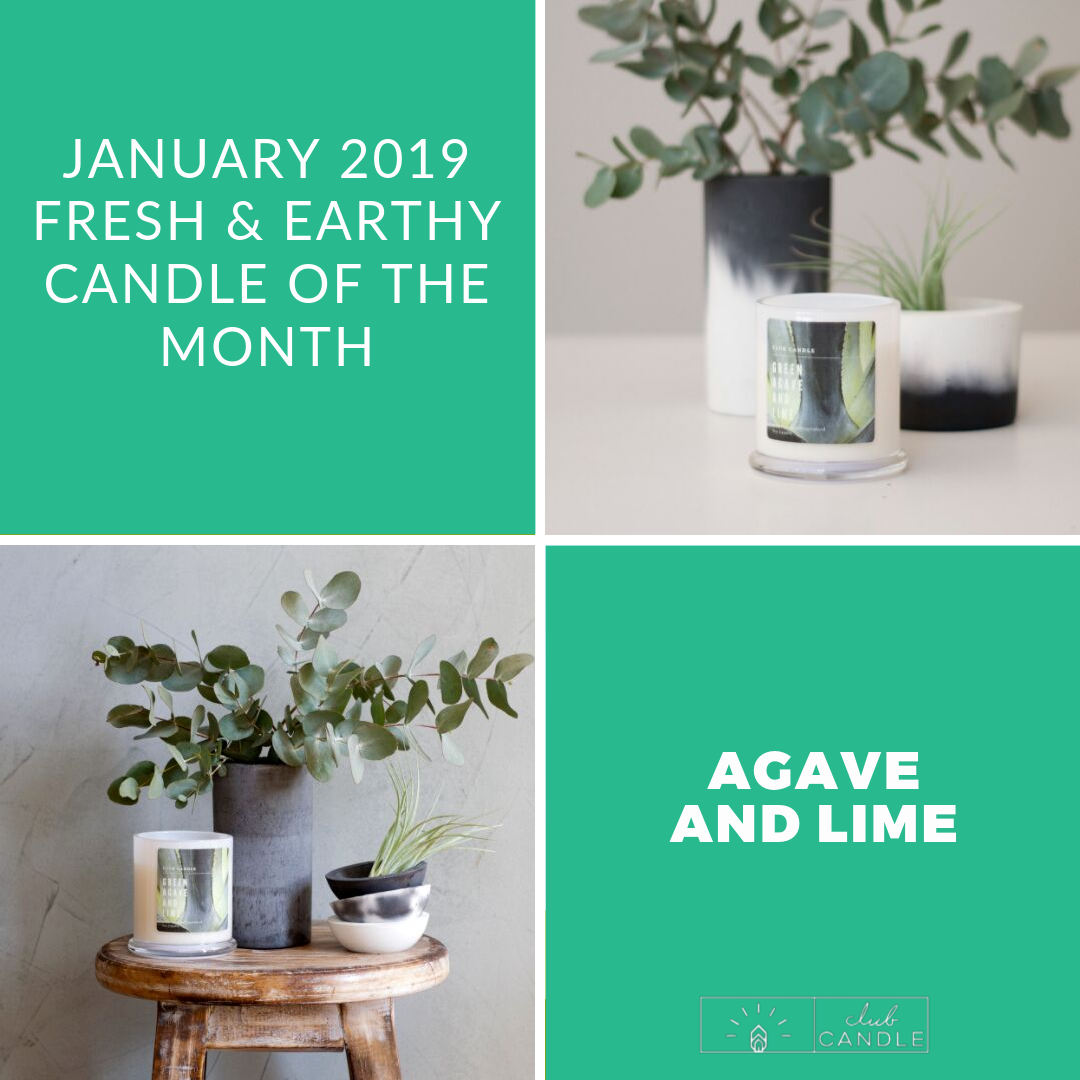 Candle of the Month – Green Agave and Lime Club Candle